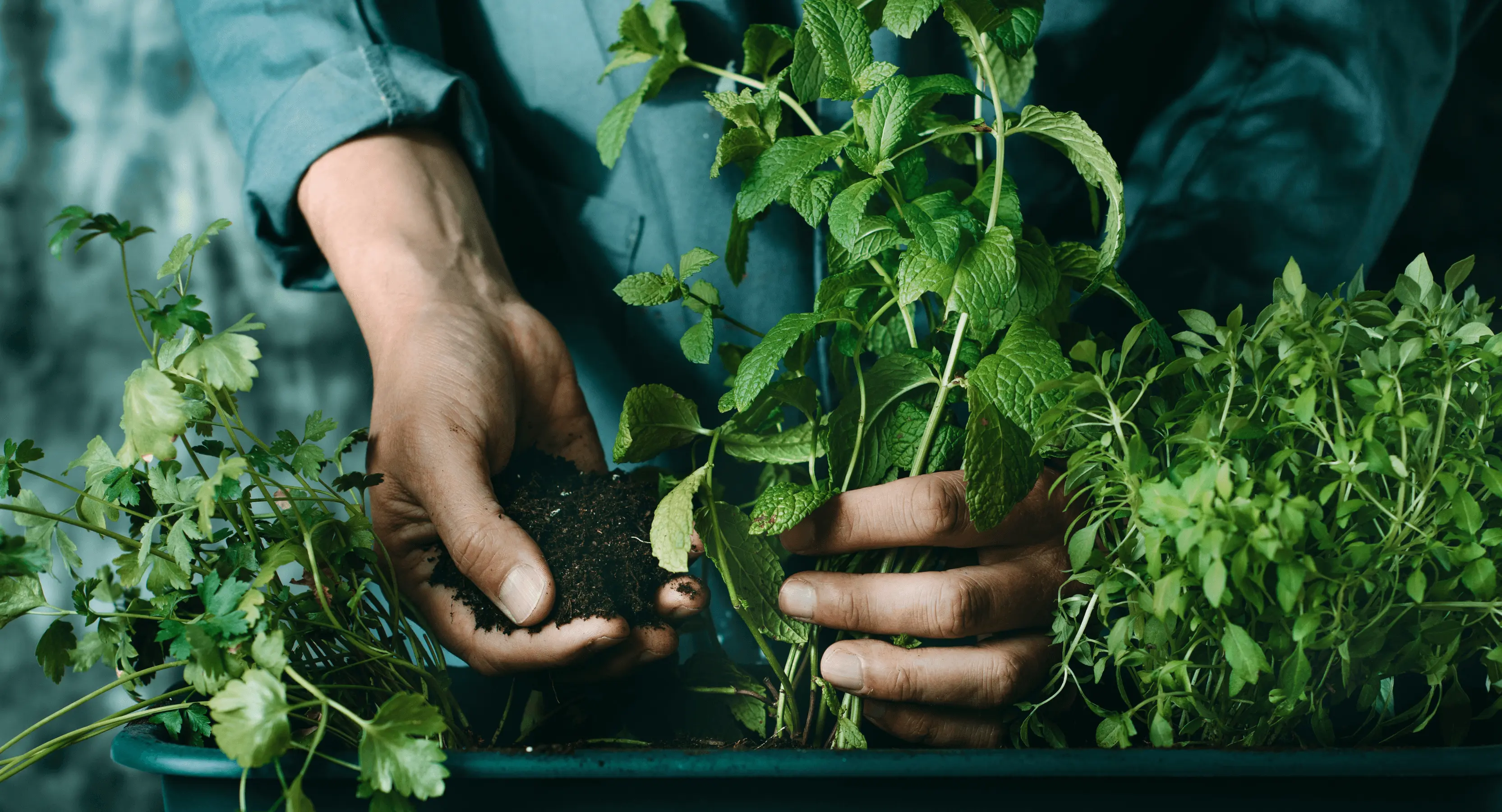 Garden Tools